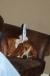 resIMG_20100330_2584.JPG